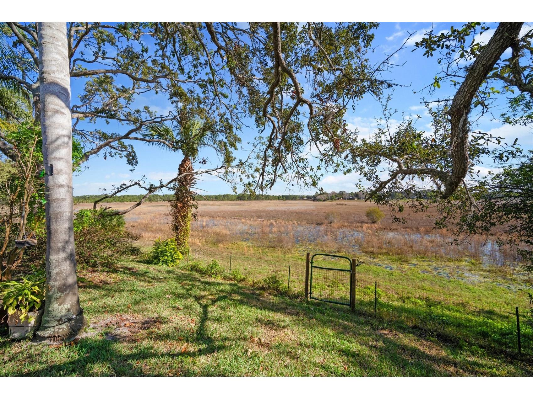 1472 Ivydale Road Spring Hill FL 34606 - HOG POND TB8499644 image35
