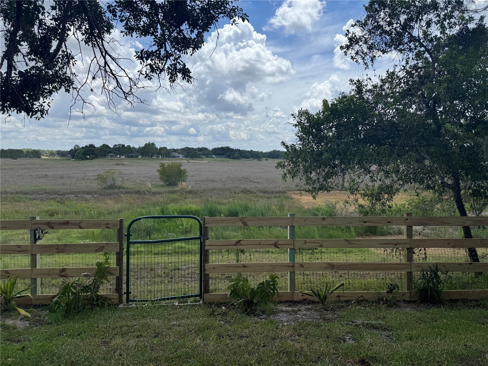 1472 Ivydale Road Spring Hill FL 34606 - HOG POND TB8499644 image37