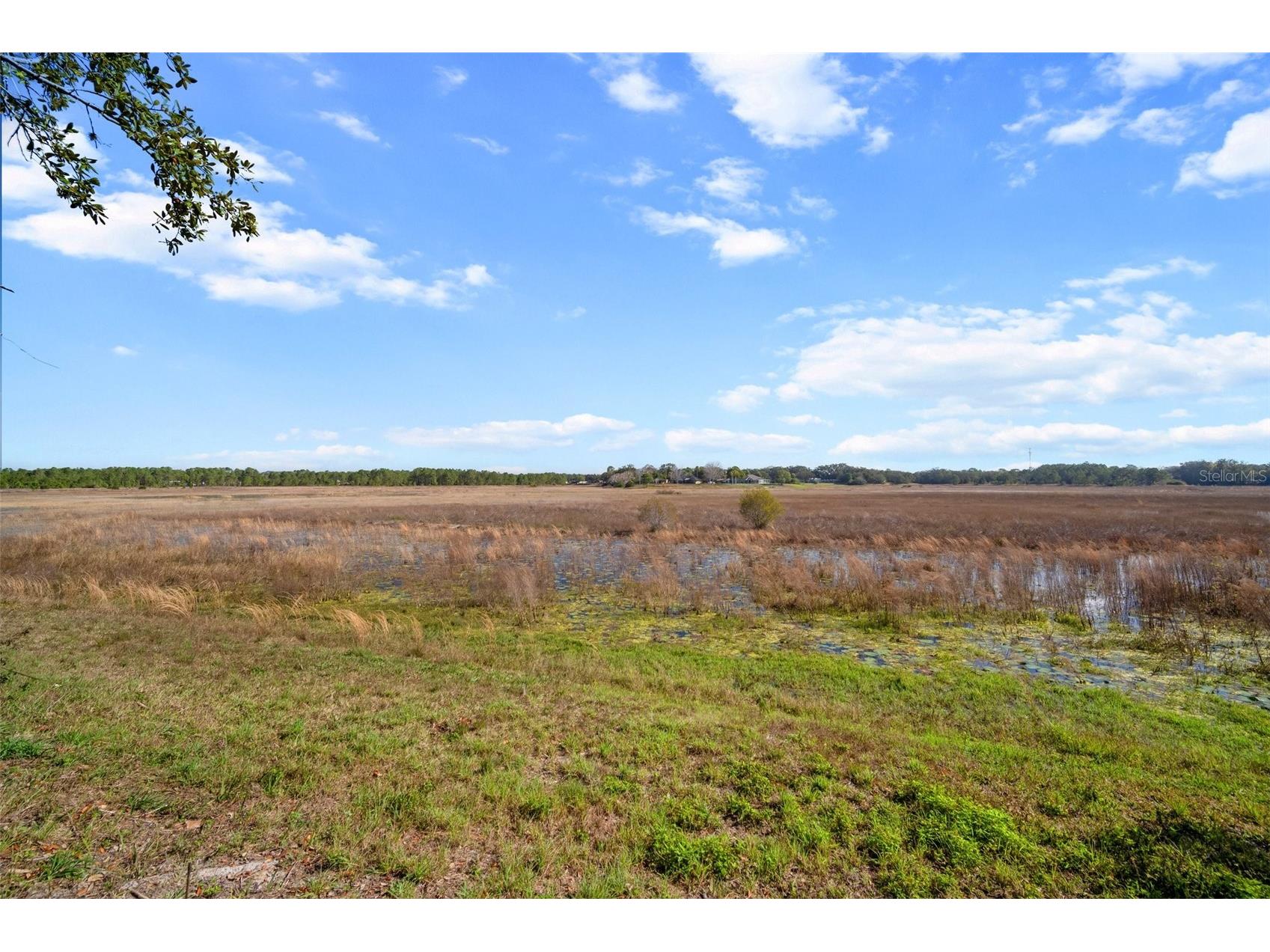 1472 Ivydale Road Spring Hill FL 34606 - HOG POND TB8499644 image41
