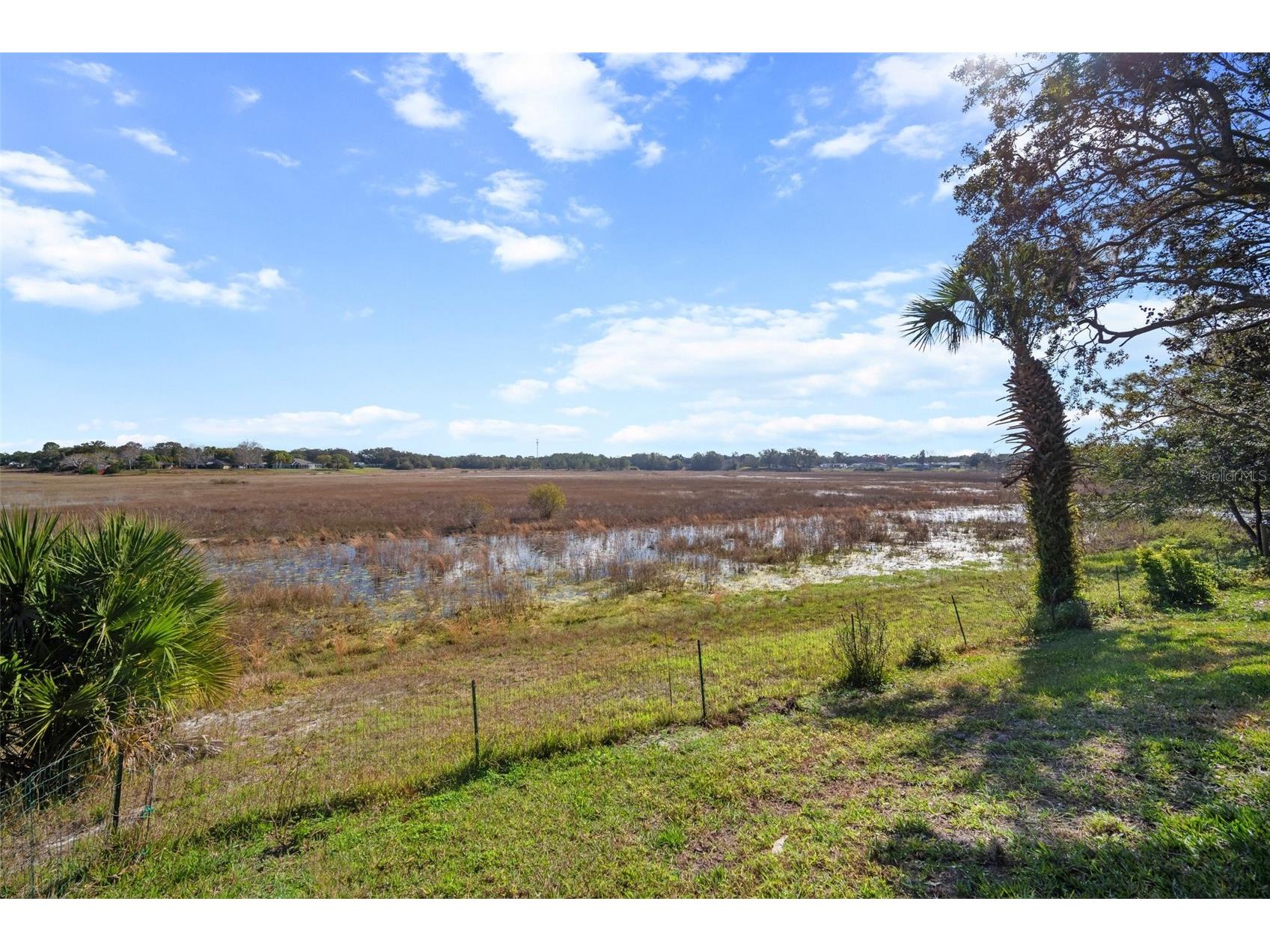1472 Ivydale Road Spring Hill FL 34606 - HOG POND TB8499644 image43