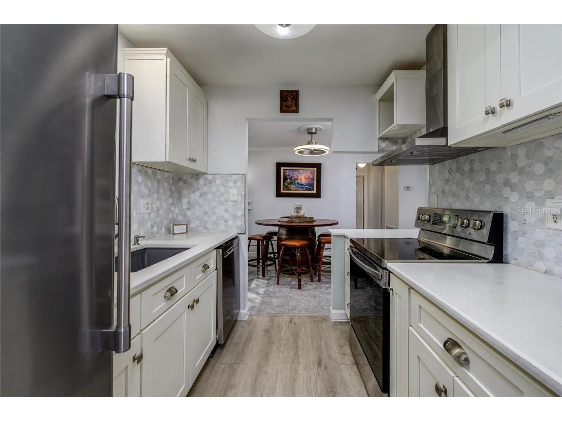 1472 Queen Anne Drive Palm Harbor FL 34684 - LAKE TARPON TB8436931 image11