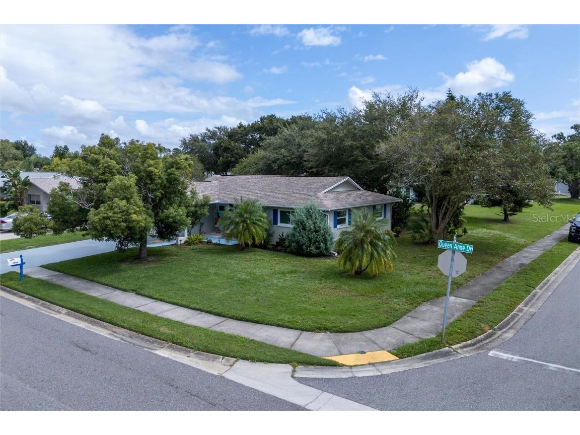 1472 Queen Anne Drive Palm Harbor FL 34684 - LAKE TARPON TB8436931 image32
