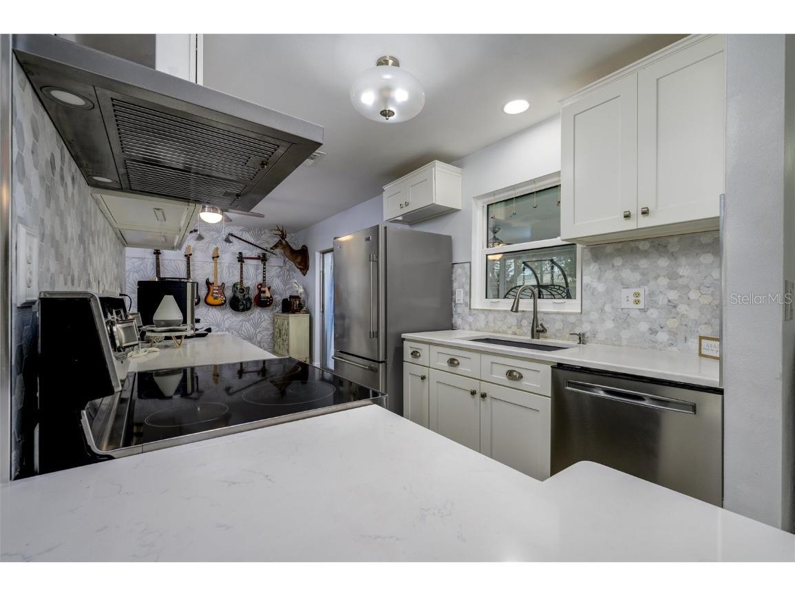 1472 Queen Anne Drive Palm Harbor FL 34684 - LAKE TARPON TB8436931 image9