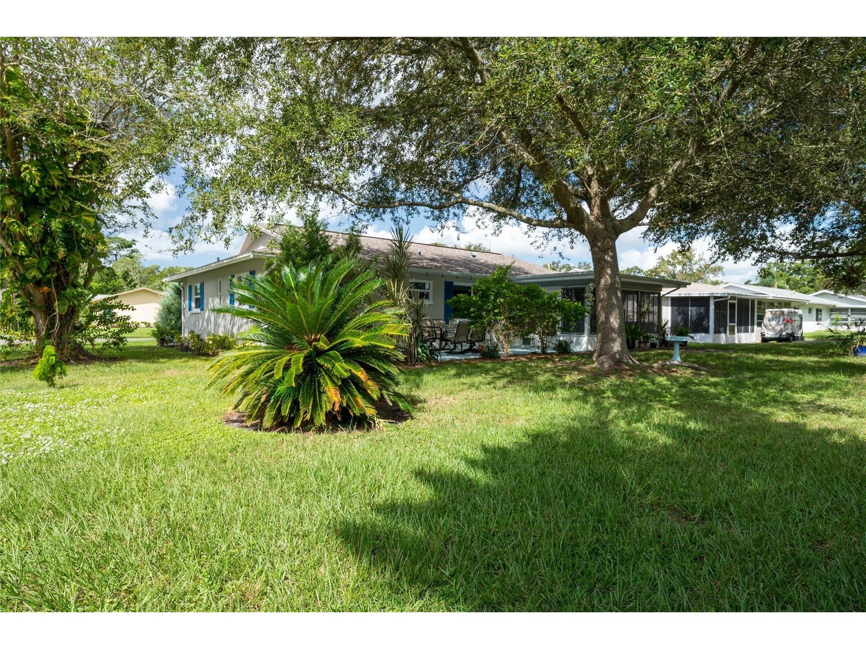 1472 Queen Anne Drive Palm Harbor FL 34684 - LAKE TARPON TB8511470 image25
