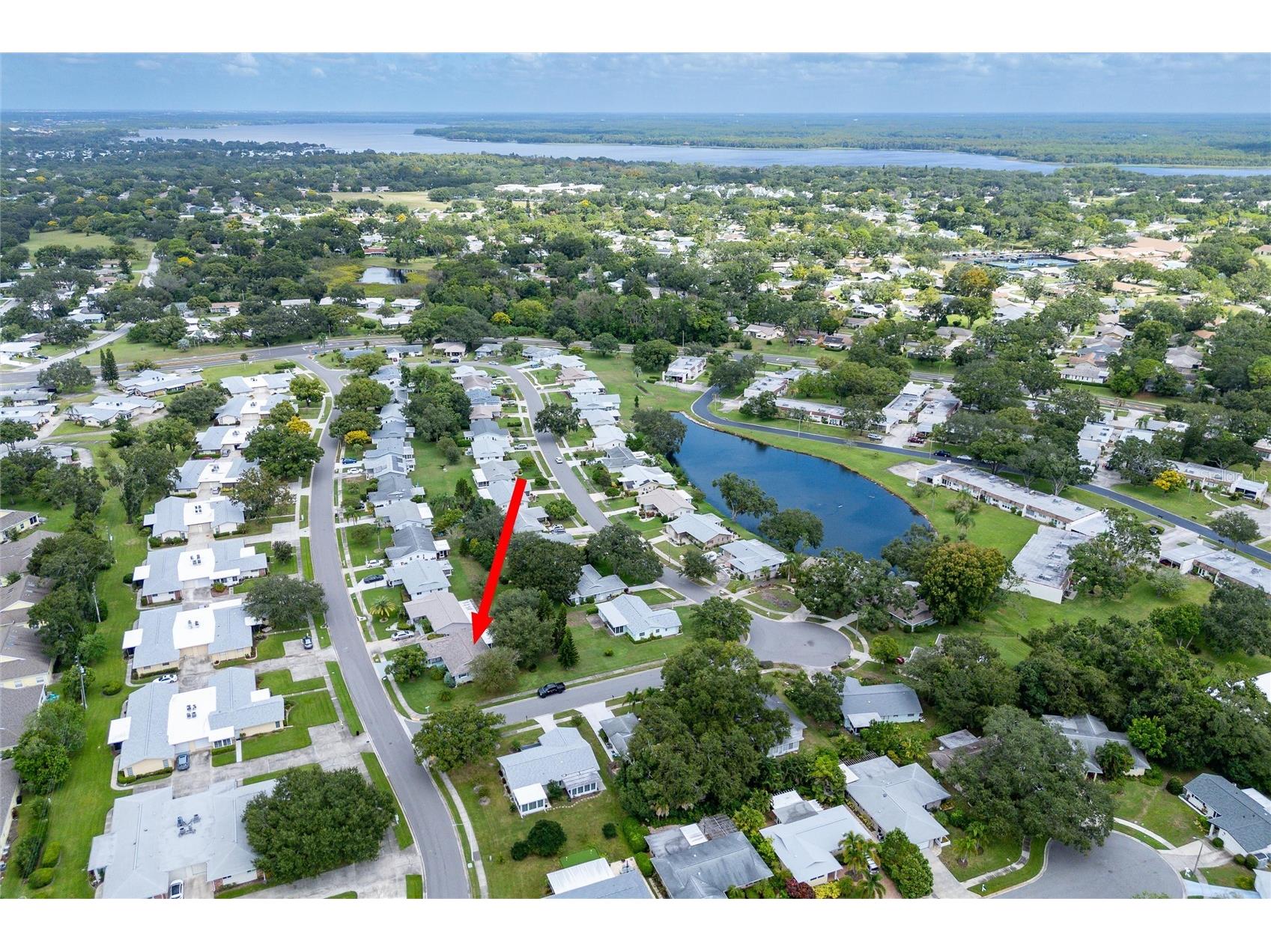 1472 Queen Anne Drive Palm Harbor FL 34684 - LAKE TARPON TB8511470 image34