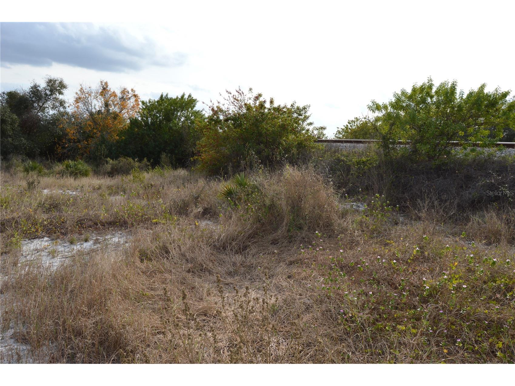 1472 Williams Gray Court Avon Park FL 33825 C7520135 image11