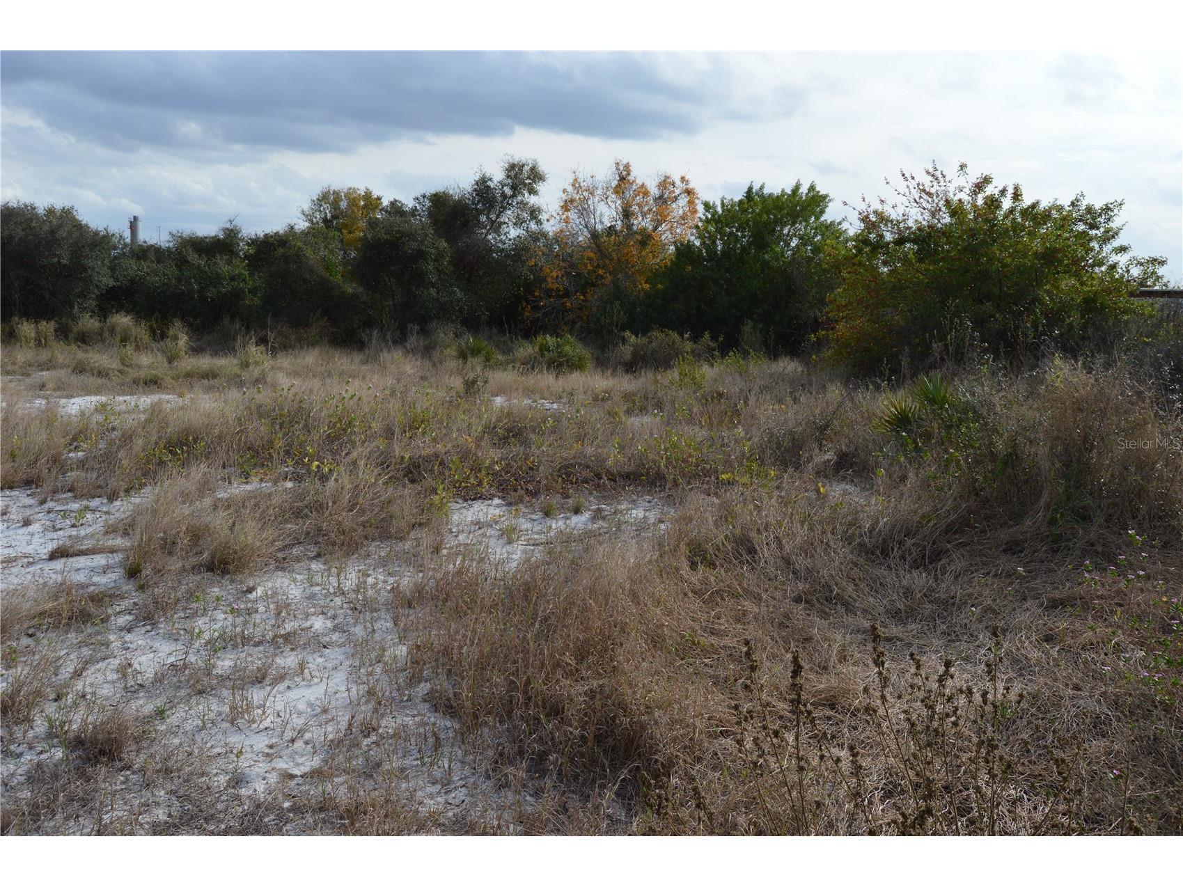 1472 Williams Gray Court Avon Park FL 33825 C7520135 image17