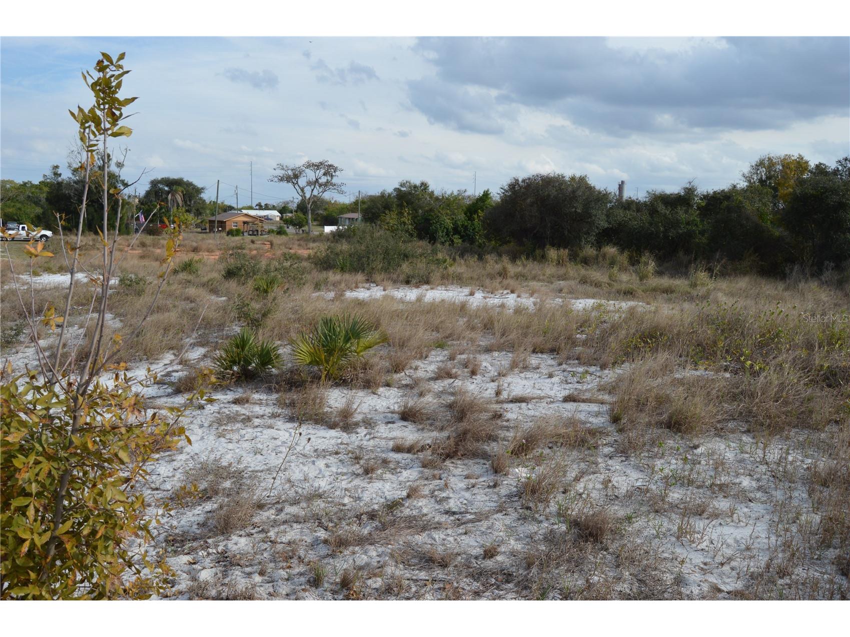 1472 Williams Gray Court Avon Park FL 33825 C7520135 image8