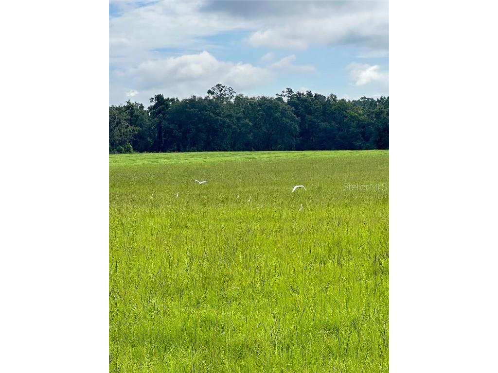 14720 40th St Live Oak FL 32060 TB8341867 image3