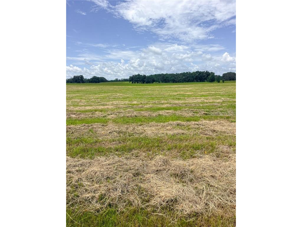 14720 40th St Live Oak FL 32060 TB8341867 image4