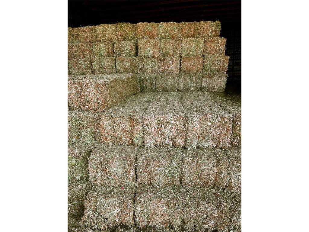 14720 40th St Live Oak FL 32060 TB8341867 image6