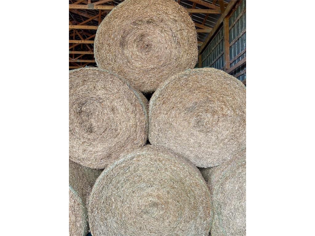 14720 40th St Live Oak FL 32060 TB8341867 image7