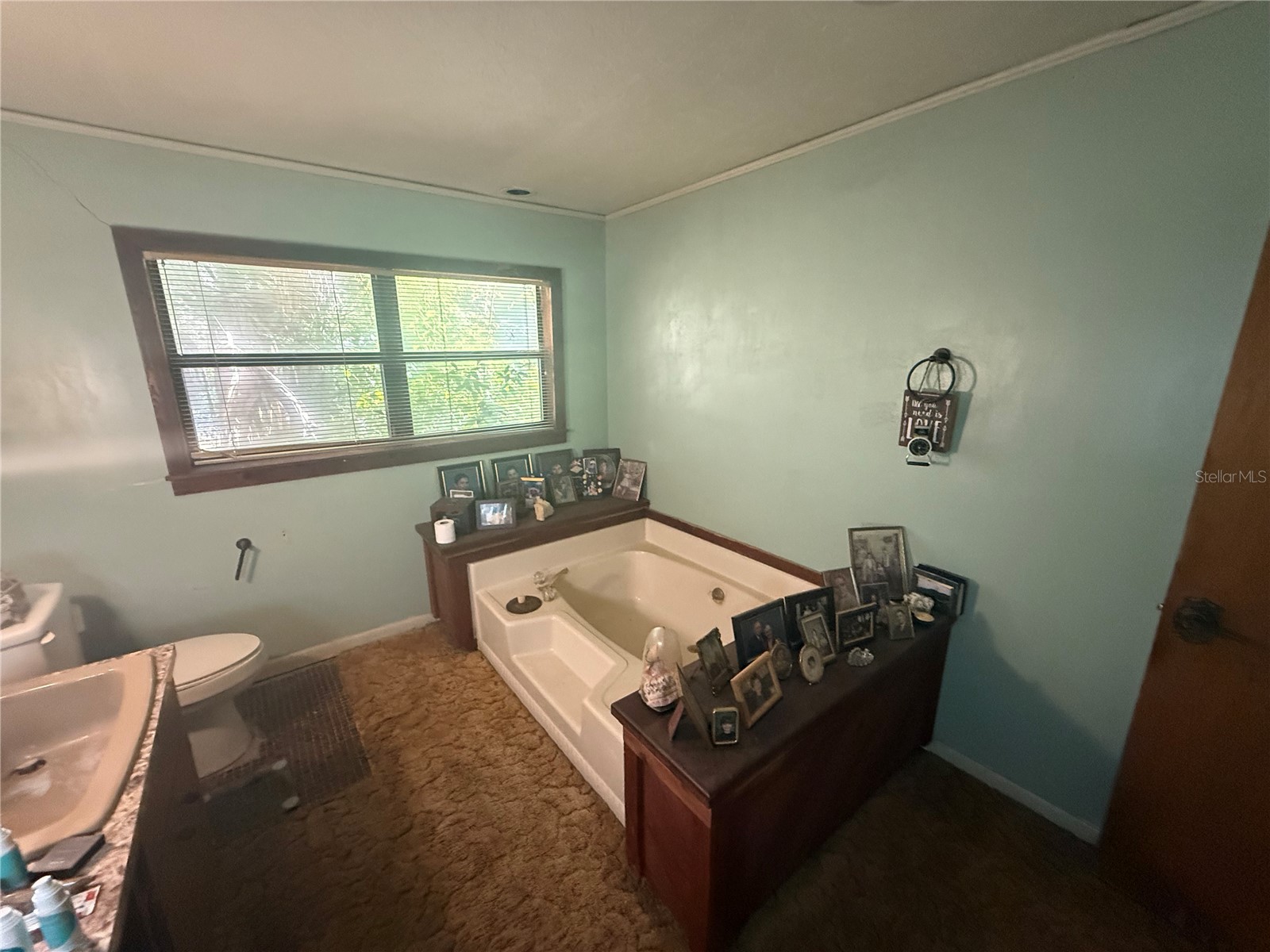 14720 NW 146 Avenue Alachua FL 32615 GC537463 image20