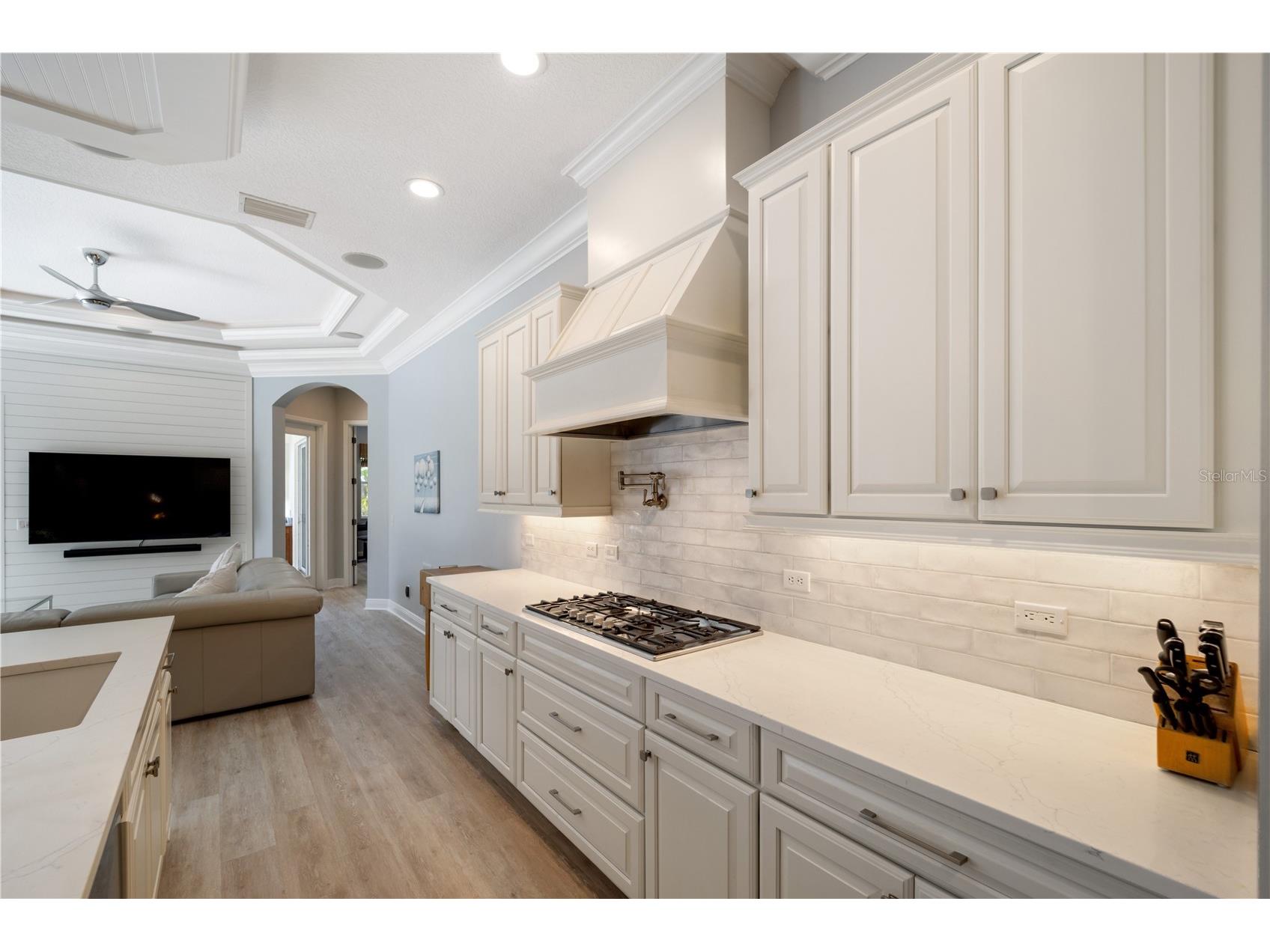 14721 Bowfin Terrace Lakewood Ranch FL 34202 A4638690 image7