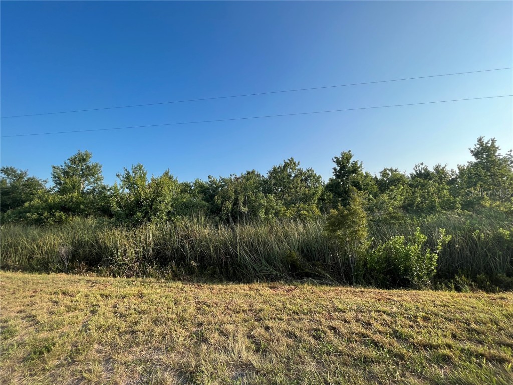 14721 NW 296th Street Okeechobee FL 34972 OK222790 image1