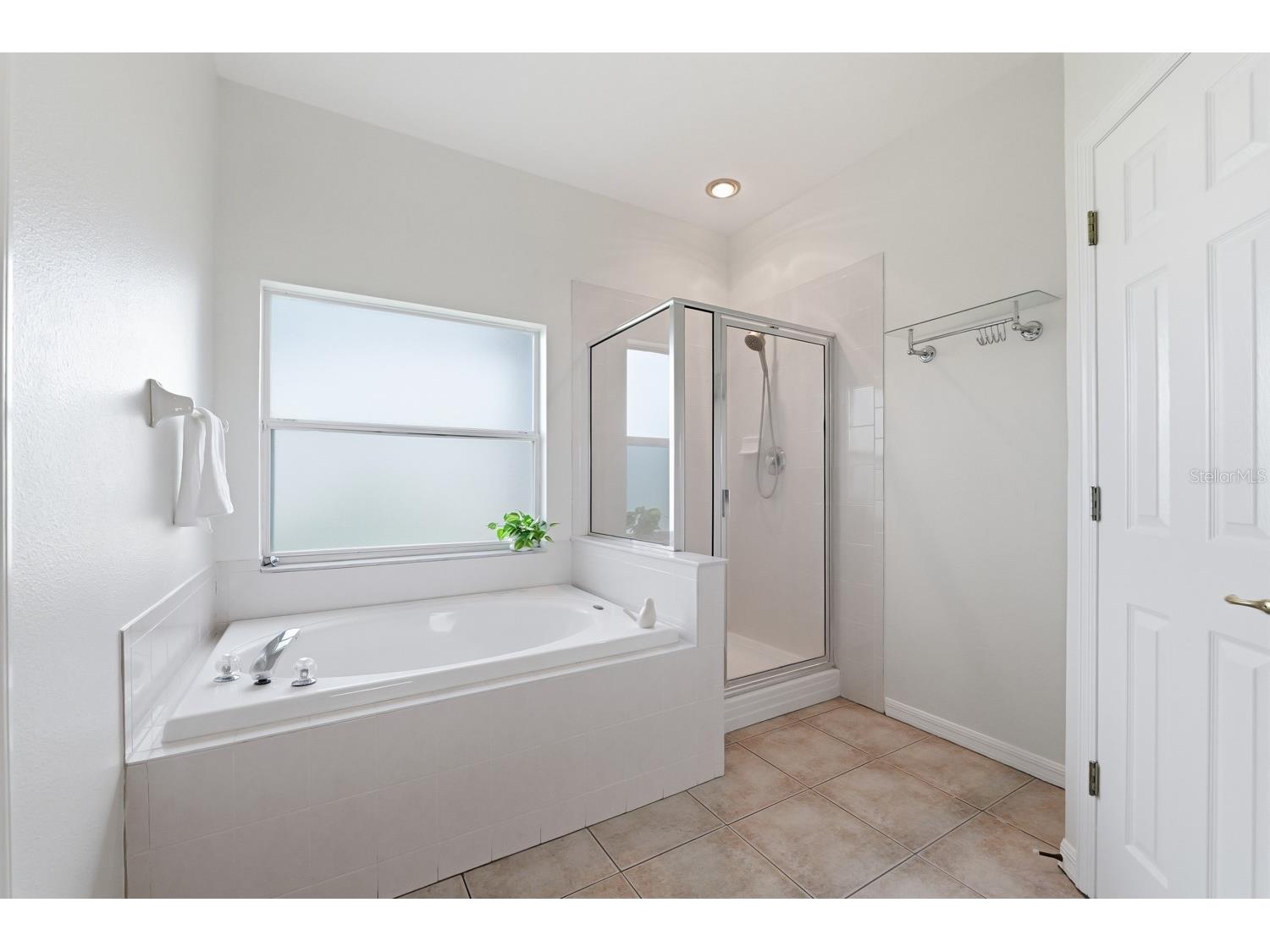 14722 Heronglen Drive Lithia FL 33547 TB8526017 image19