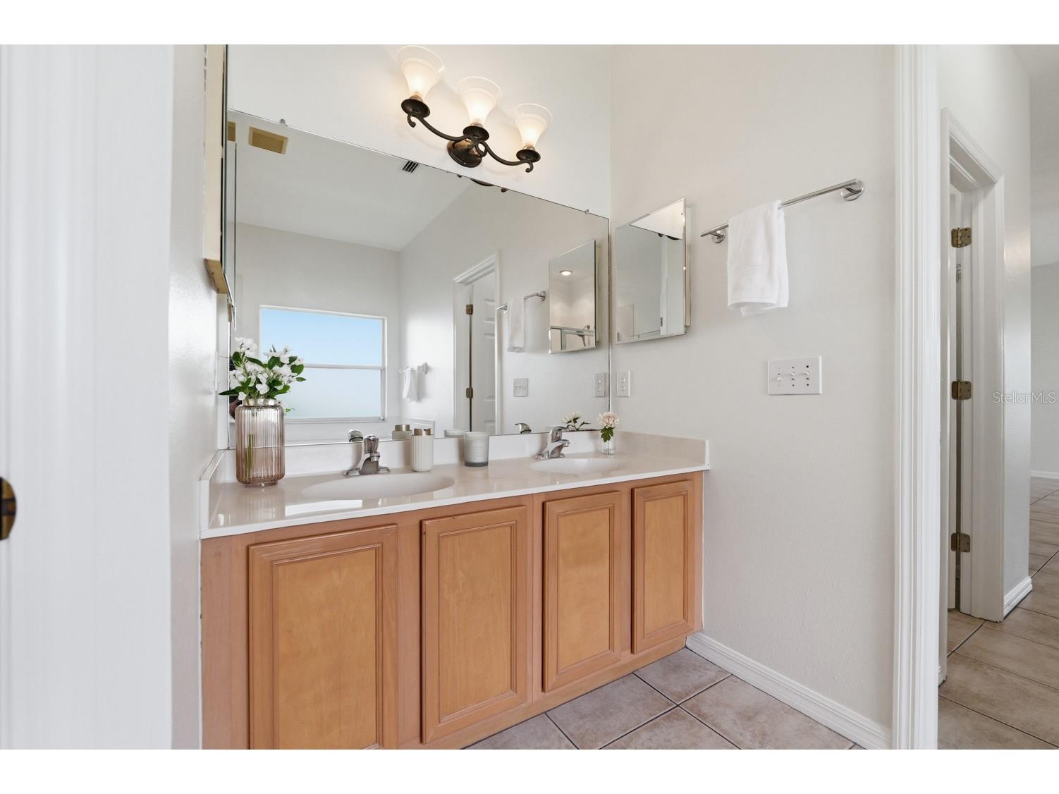 14722 Heronglen Drive Lithia FL 33547 TB8526017 image28