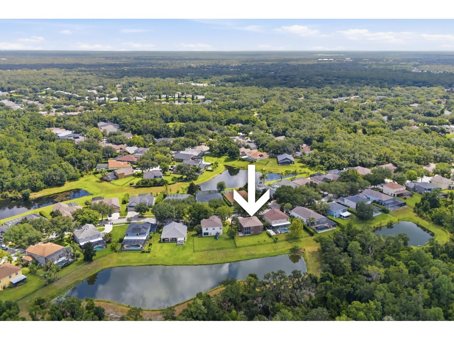 14722 Heronglen Drive Lithia FL 33547 TB8526017 image6