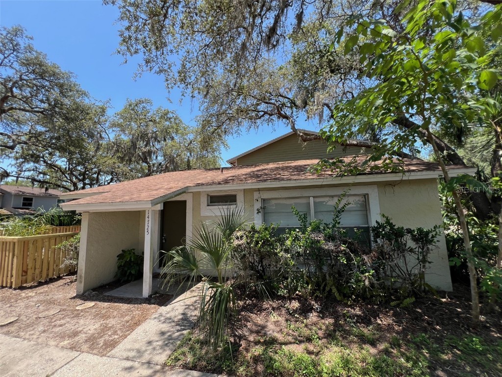 14725 Morning Drive Lutz FL 33559 TB8387540 image1