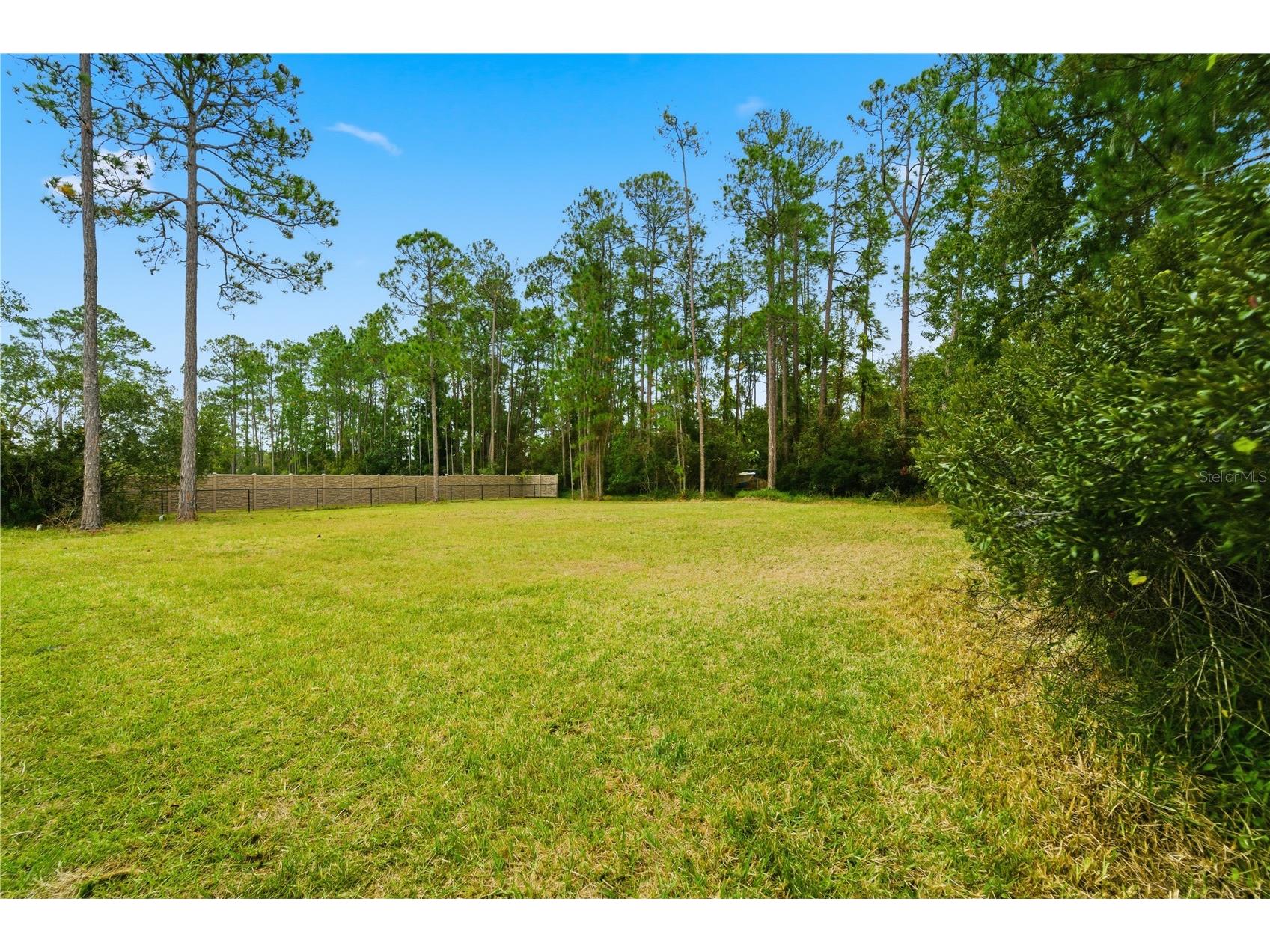 14728 Henson Road Orlando FL 32832 O6411297 image12