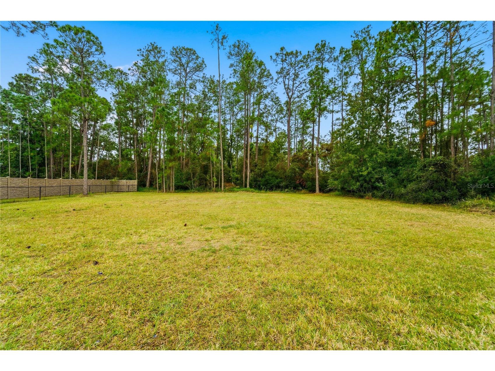 14728 Henson Road Orlando FL 32832 O6411297 image28