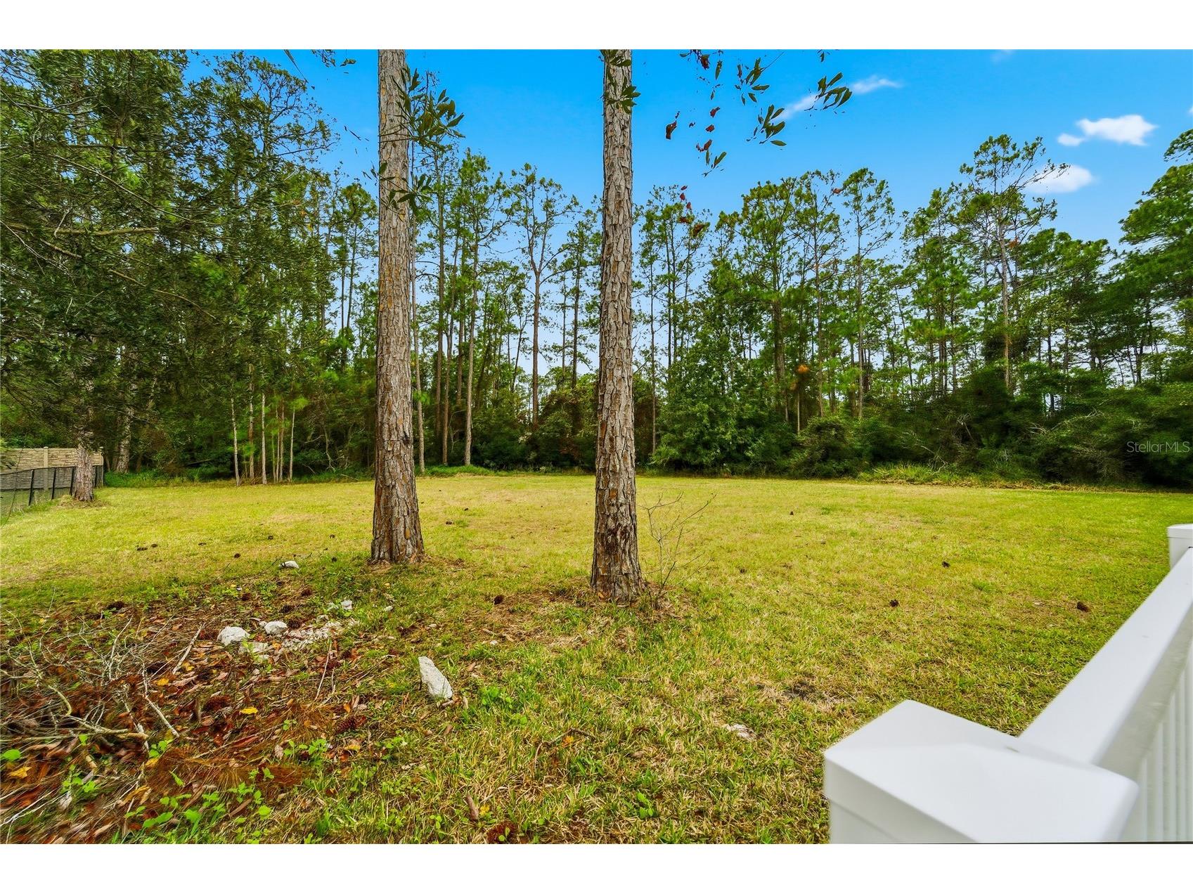 14728 Henson Road Orlando FL 32832 O6411297 image29
