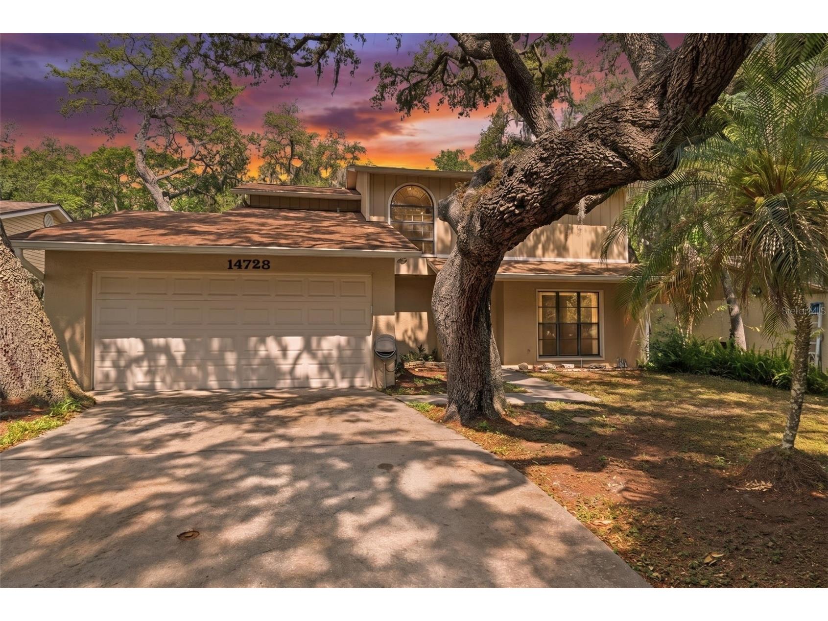 14728 Tall Tree Drive Lutz FL 33559 TB8508819 image1