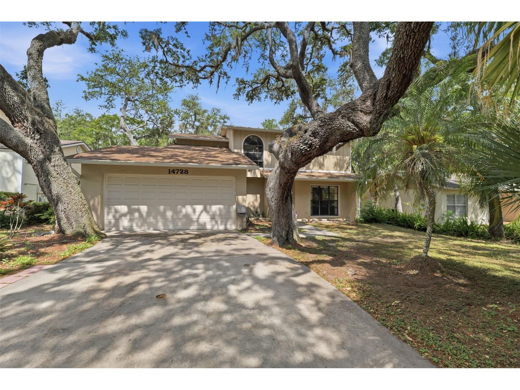 14728 Tall Tree Drive Lutz FL 33559 TB8508819 image2