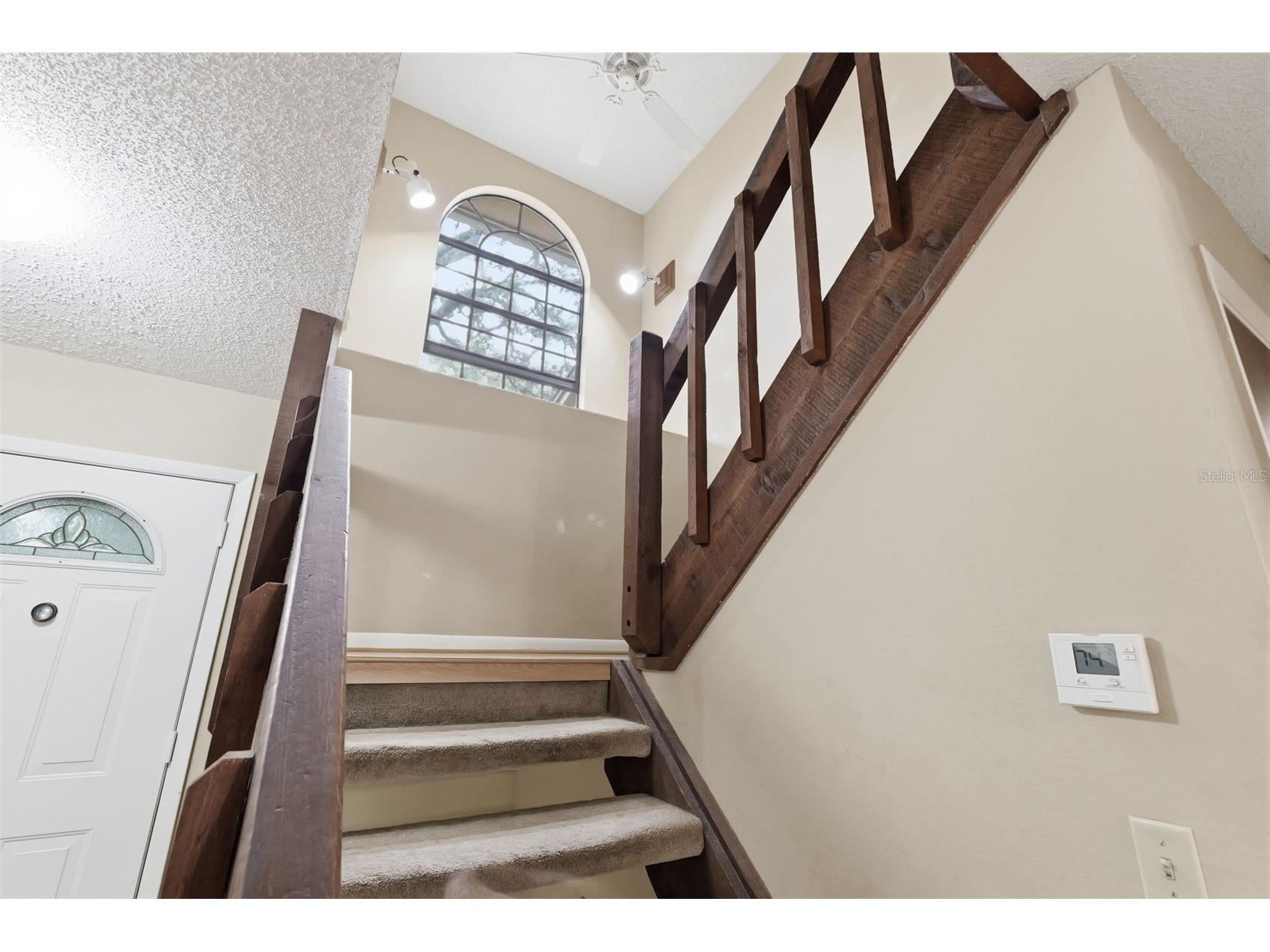 14728 Tall Tree Drive Lutz FL 33559 TB8508819 image24