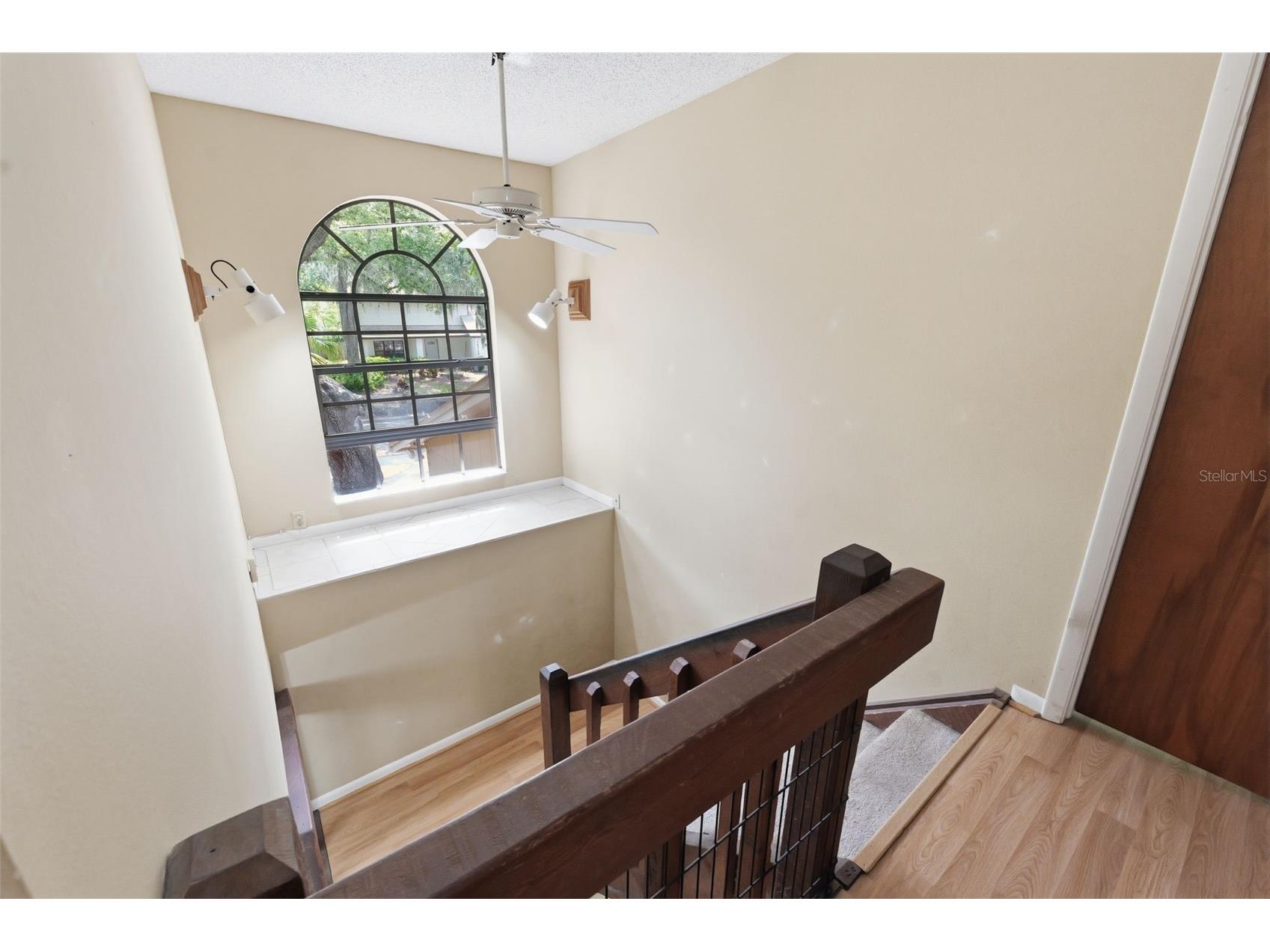 14728 Tall Tree Drive Lutz FL 33559 TB8508819 image25