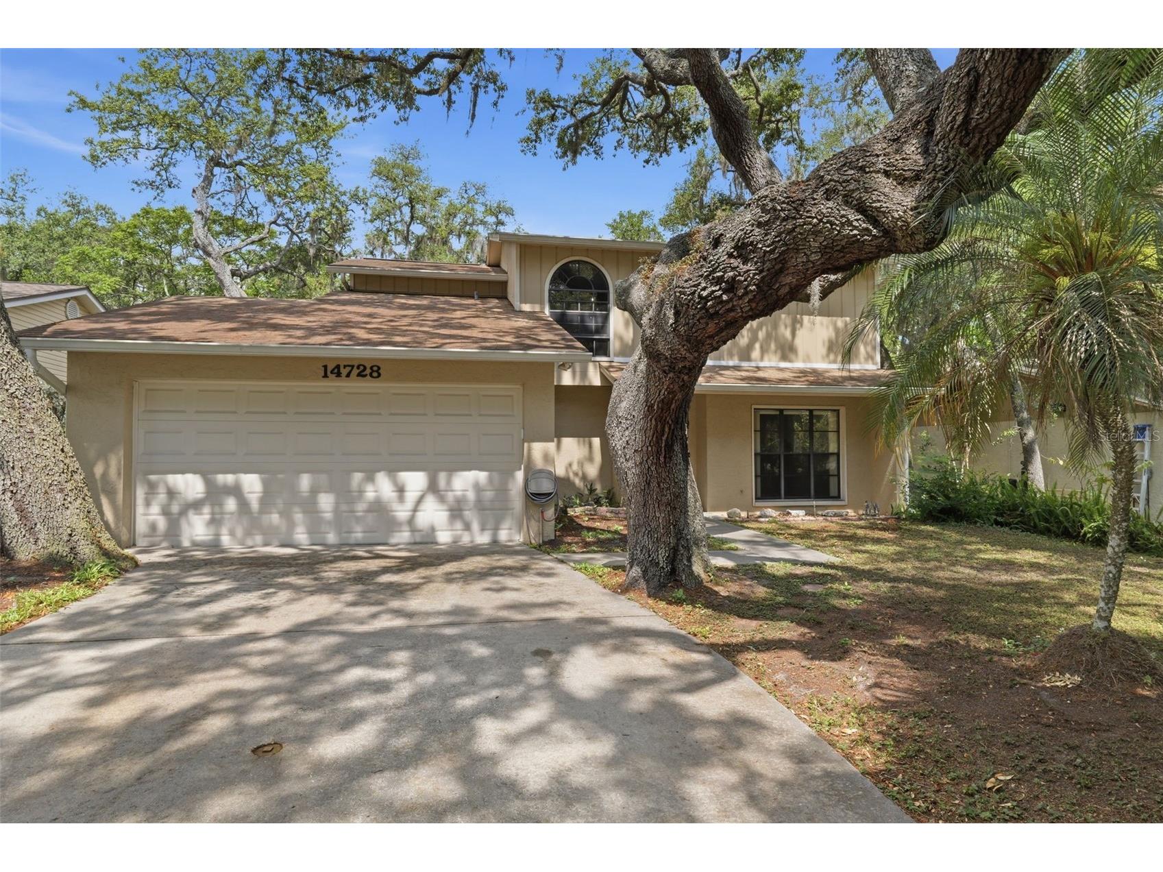 14728 Tall Tree Drive Lutz FL 33559 TB8508819 image3