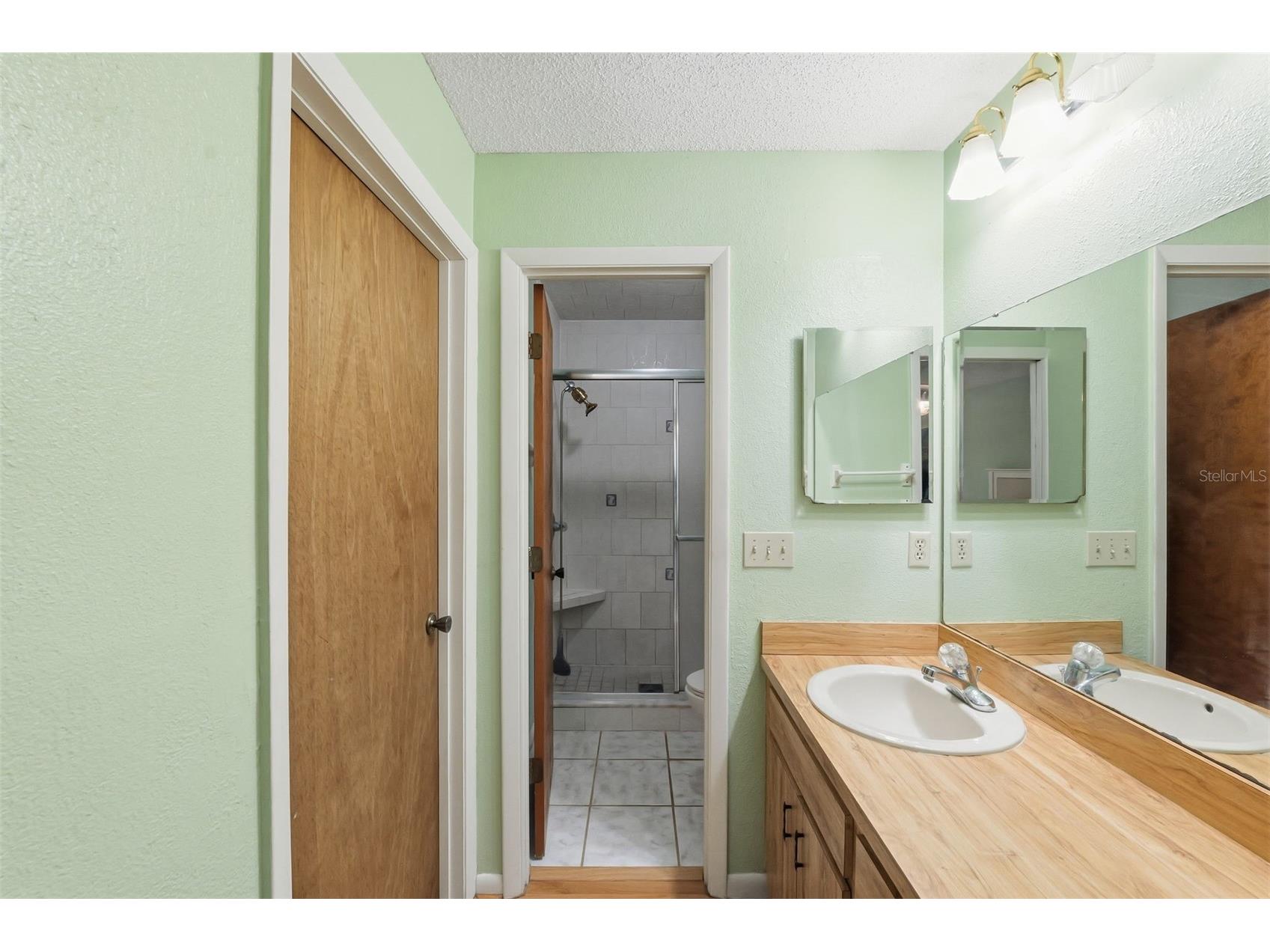 14728 Tall Tree Drive Lutz FL 33559 TB8508819 image33
