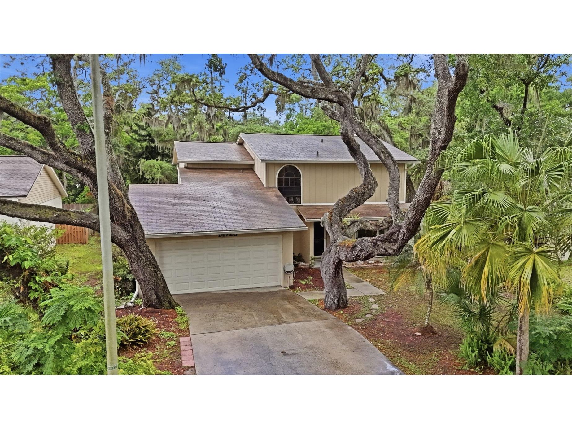 14728 Tall Tree Drive Lutz FL 33559 TB8508819 image39