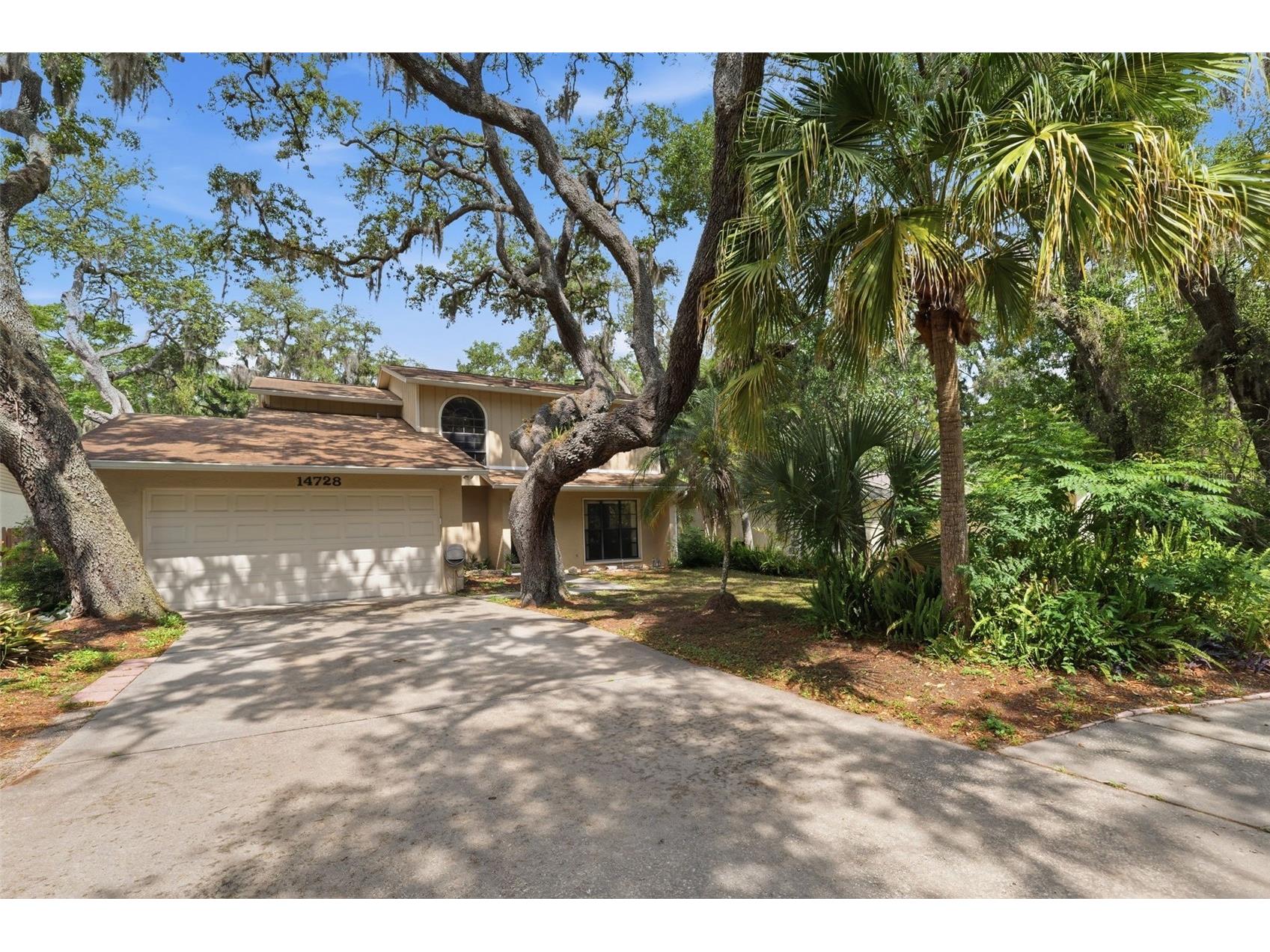 14728 Tall Tree Drive Lutz FL 33559 TB8508819 image4