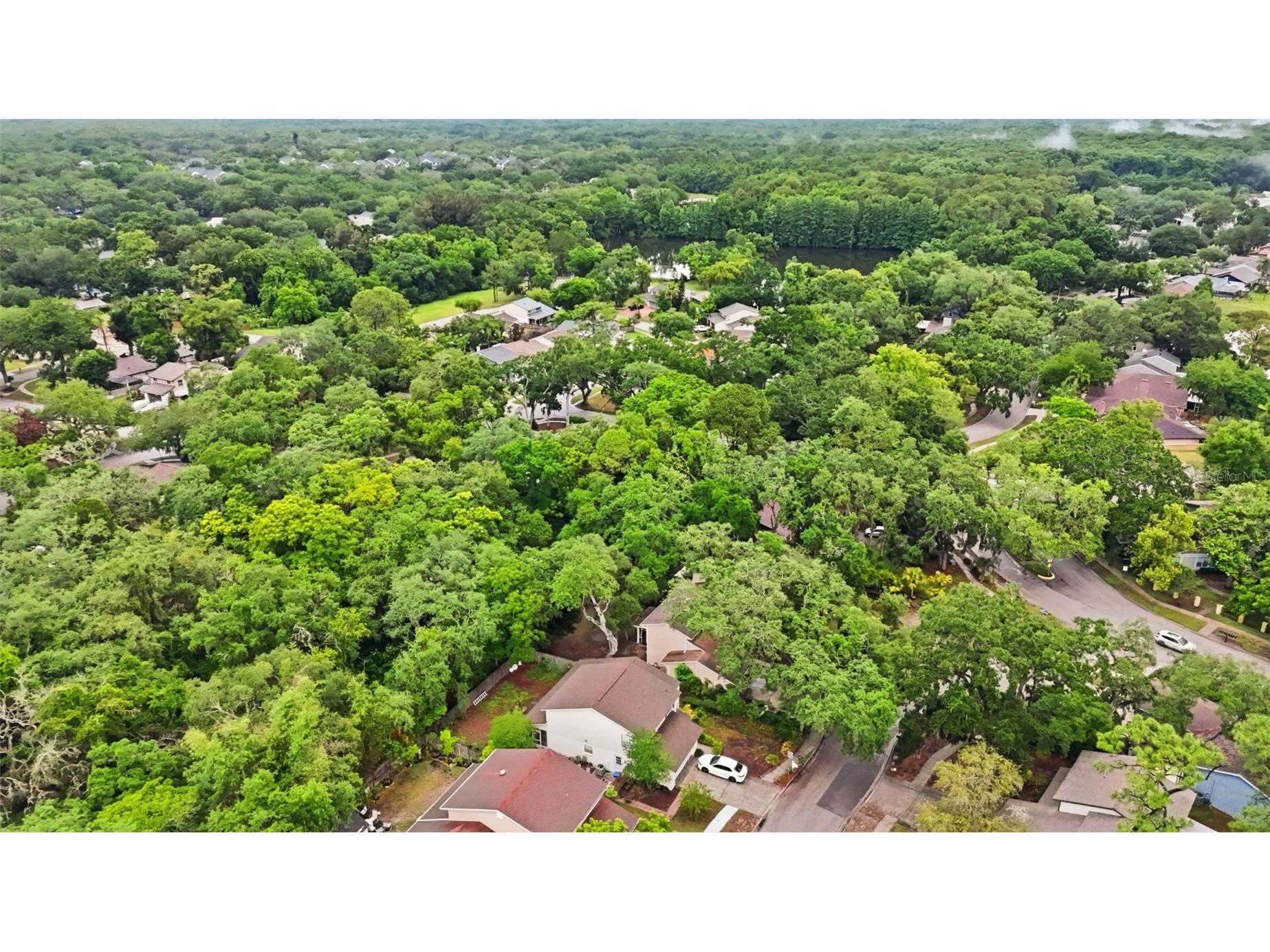 14728 Tall Tree Drive Lutz FL 33559 TB8508819 image40