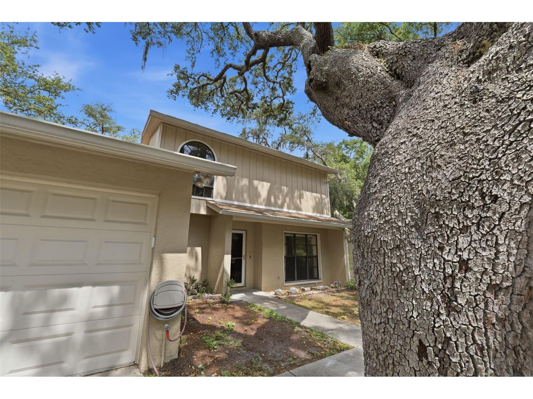 14728 Tall Tree Drive Lutz FL 33559 TB8508819 image5