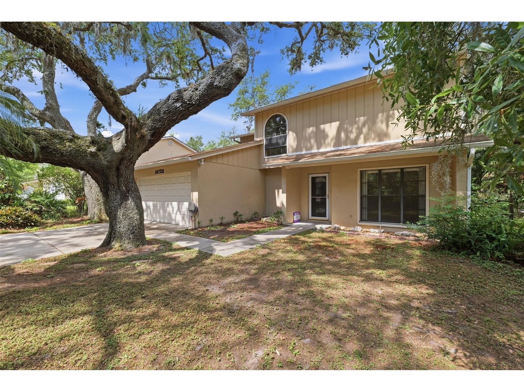 14728 Tall Tree Drive Lutz FL 33559 TB8508819 image6
