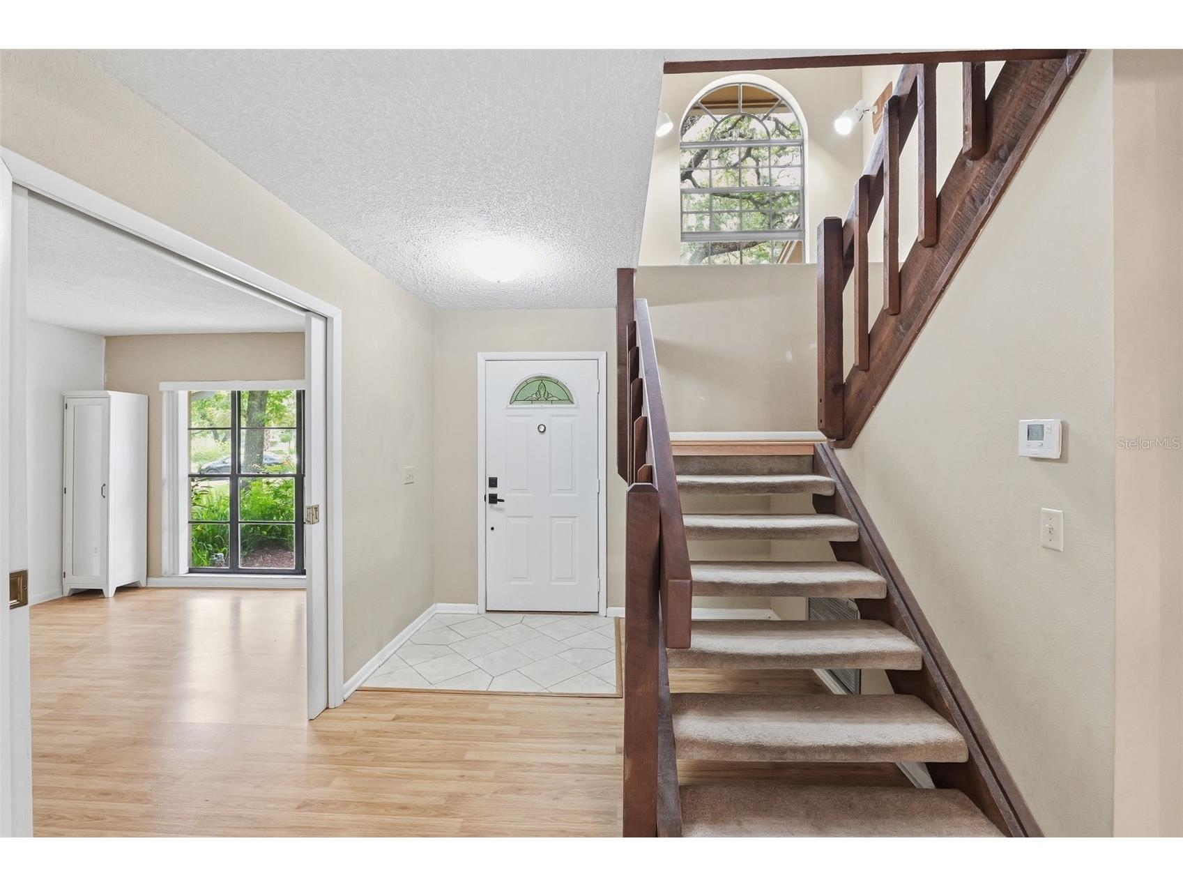 14728 Tall Tree Drive Lutz FL 33559 TB8508819 image8