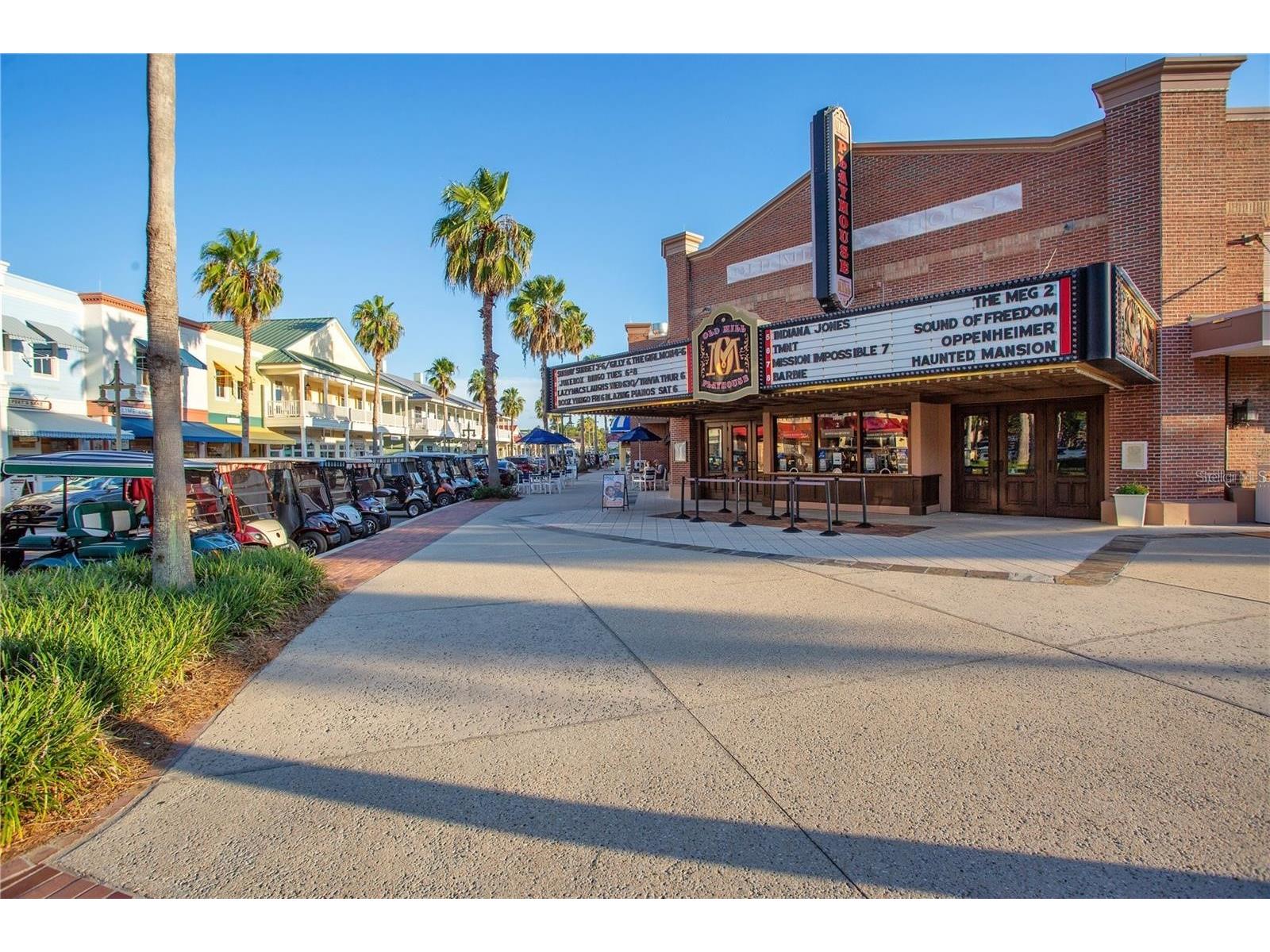 1473 Straton Way The Villages FL 32162 G5106285 image49