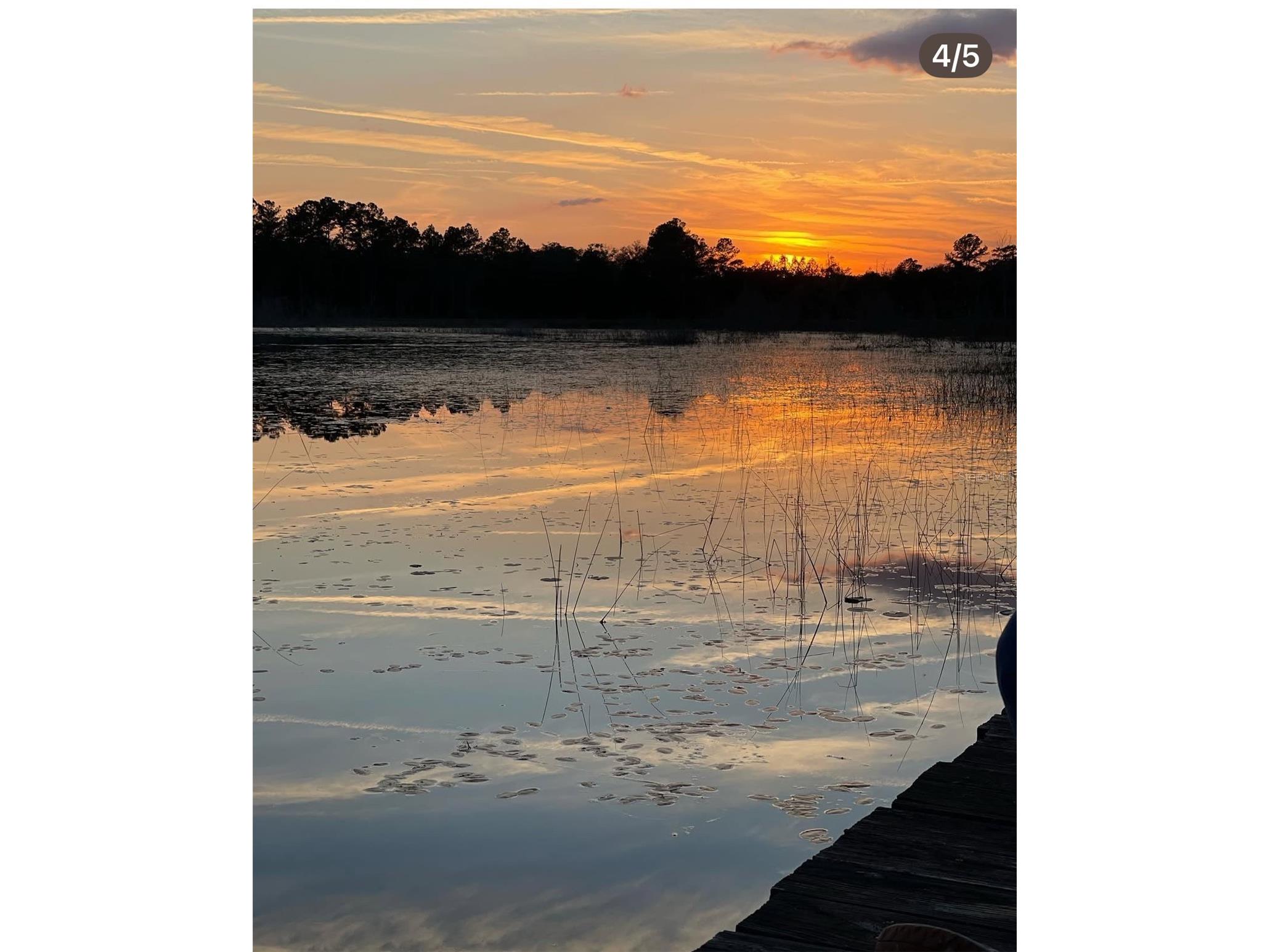 14730 SE 61st Street Road Ocklawaha FL 32179 - LAKE SHOESOLE OM717239 image1
