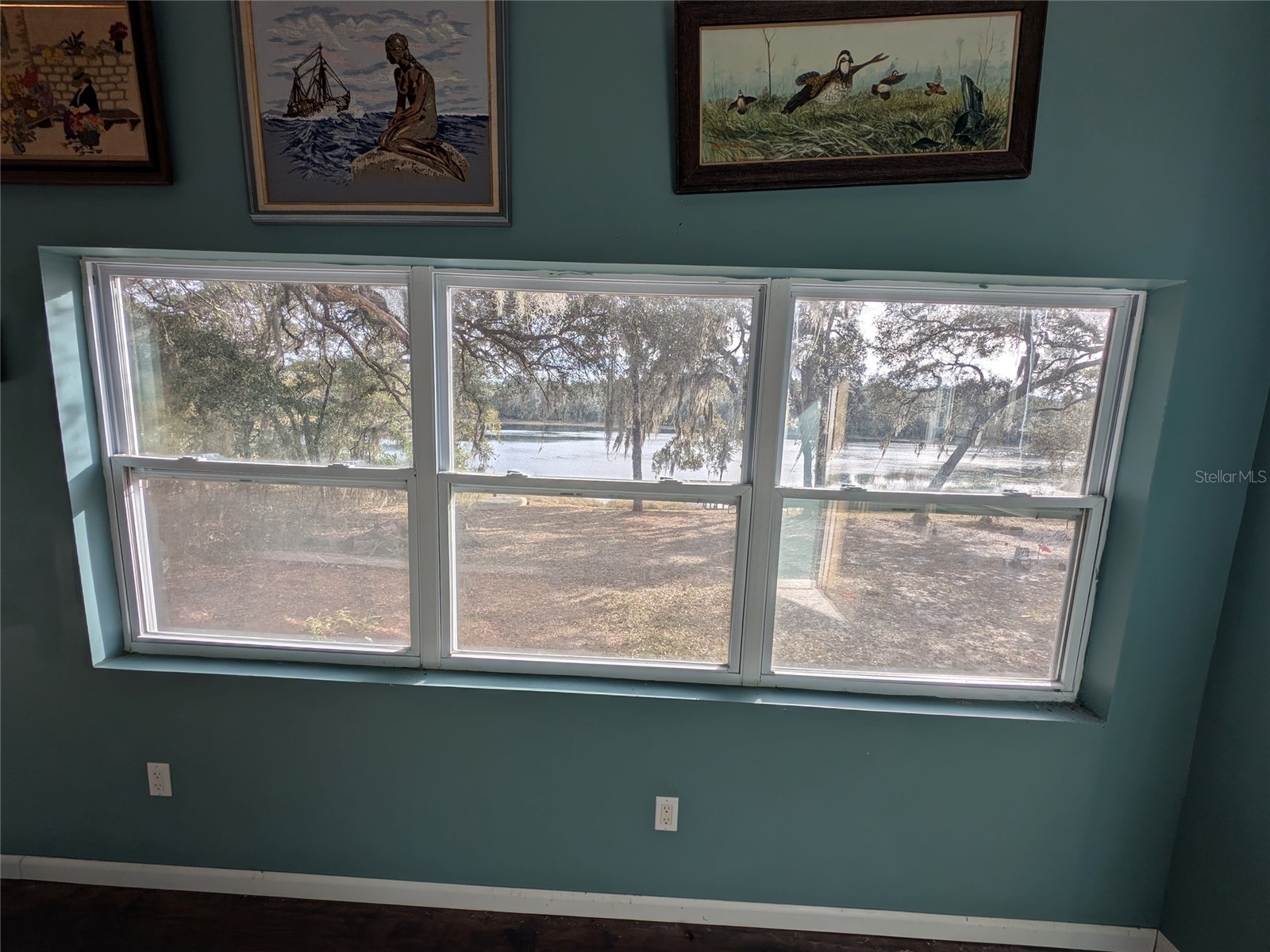 14730 SE 61st Street Road Ocklawaha FL 32179 - LAKE SHOESOLE OM717239 image42