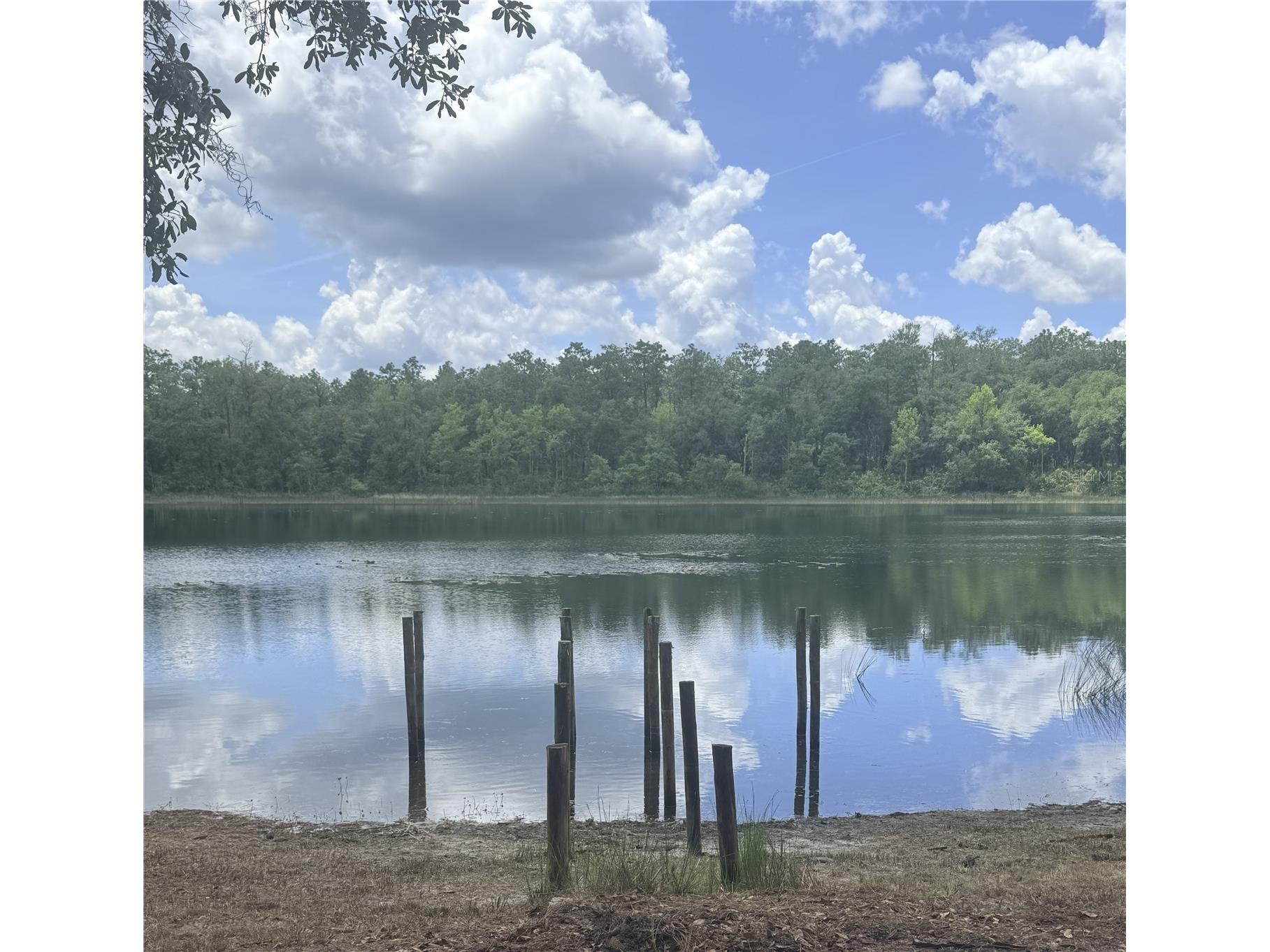 14730 SE 61st Street Road Ocklawaha FL 32179 - LAKE SHOESOLE OM717239 image6