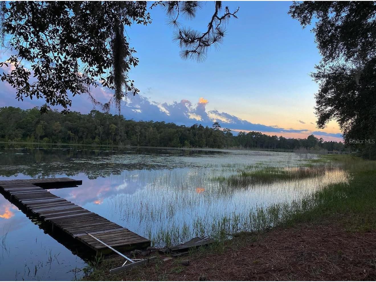 14730 SE 61st Street Road Ocklawaha FL 32179 - LAKE SHOESOLE OM717239 image63