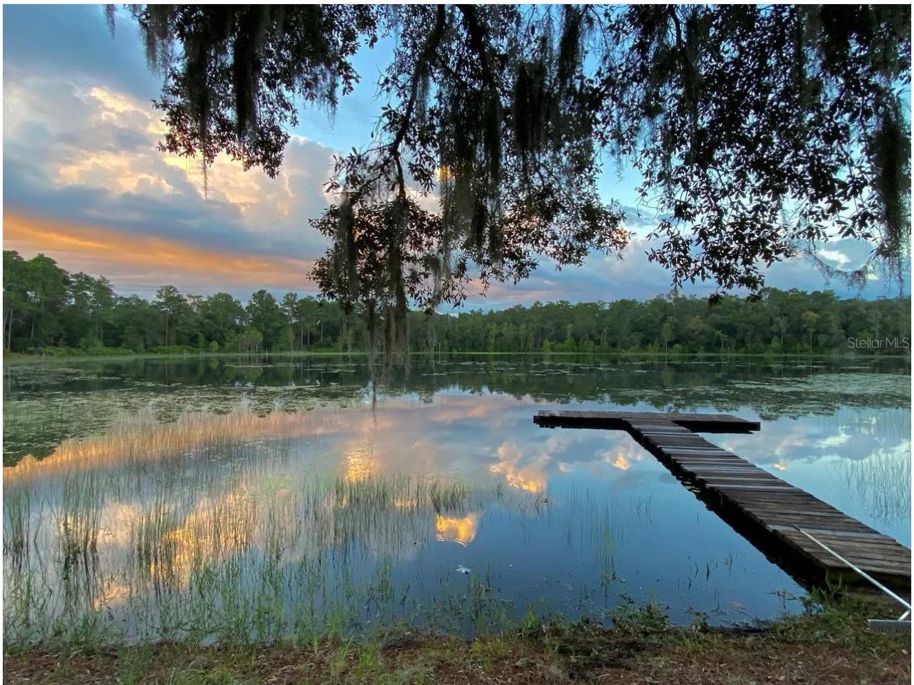14730 SE 61st Street Road Ocklawaha FL 32179 - LAKE SHOESOLE OM717239 image65