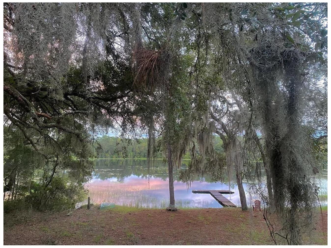 14730 SE 61st Street Road Ocklawaha FL 32179 - LAKE SHOESOLE OM717239 image67