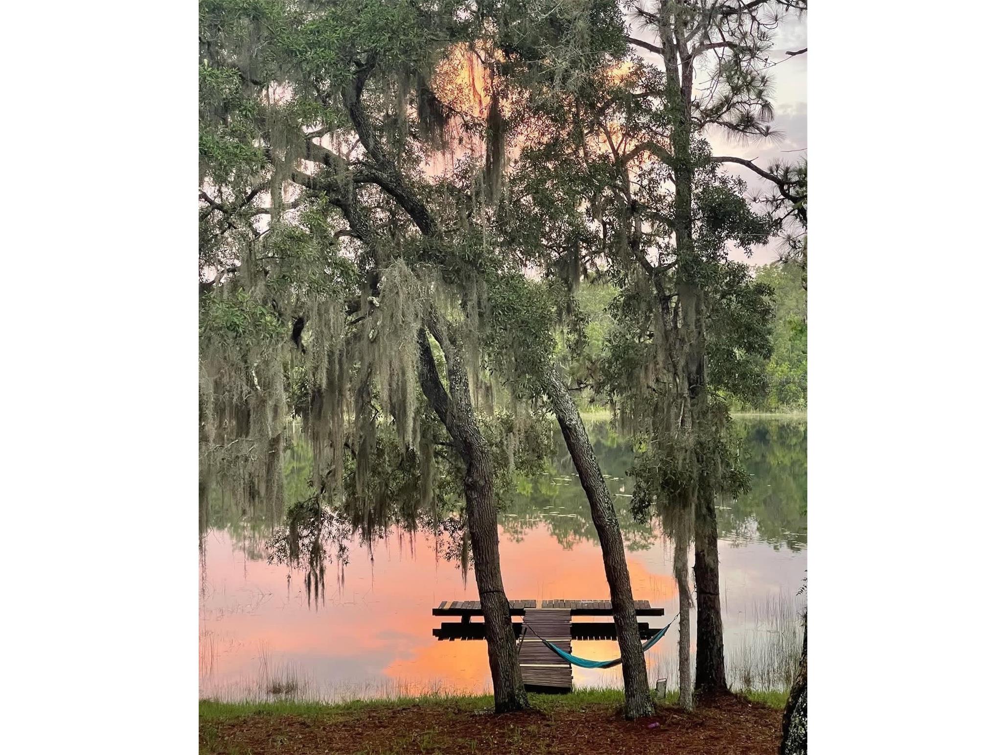 14730 SE 61st Street Road Ocklawaha FL 32179 - LAKE SHOESOLE OM717239 image69