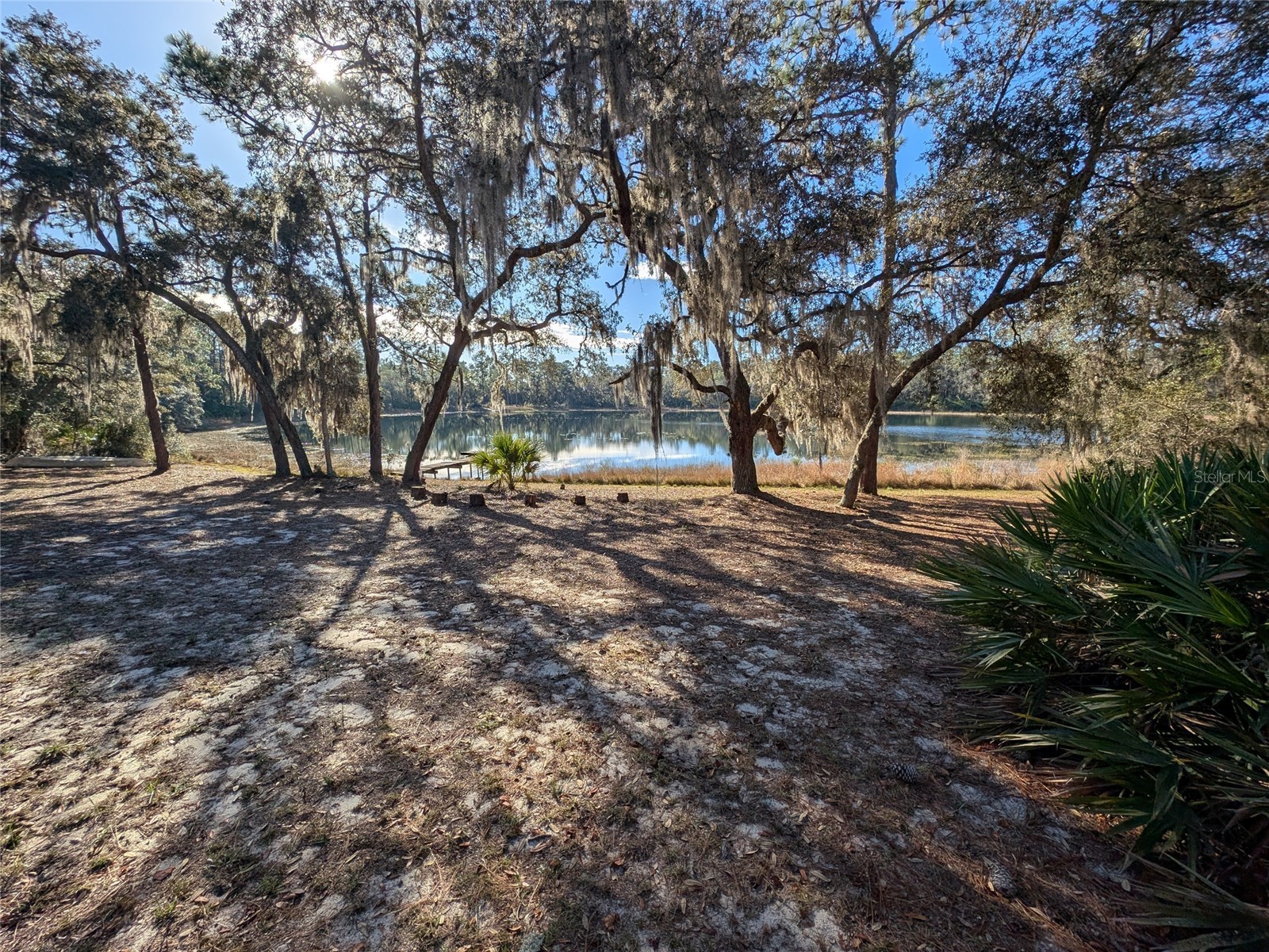 14730 SE 61st Street Road Ocklawaha FL 32179 - LAKE SHOESOLE OM717239 image71