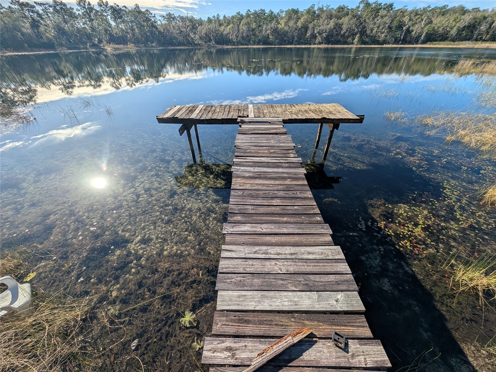 14730 SE 61st Street Road Ocklawaha FL 32179 - LAKE SHOESOLE OM717239 image73