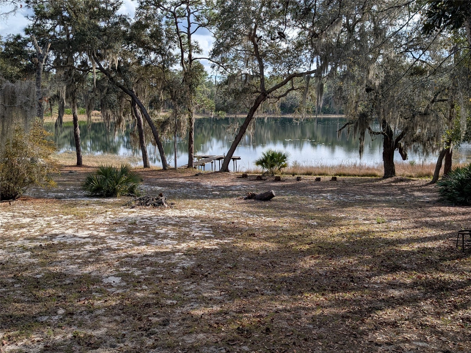 14730 SE 61st Street Road Ocklawaha FL 32179 - LAKE SHOESOLE OM717239 image76
