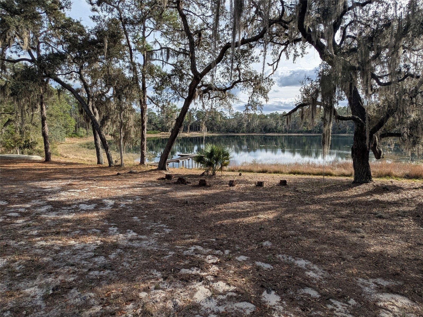 14730 SE 61st Street Road Ocklawaha FL 32179 - LAKE SHOESOLE OM717239 image78